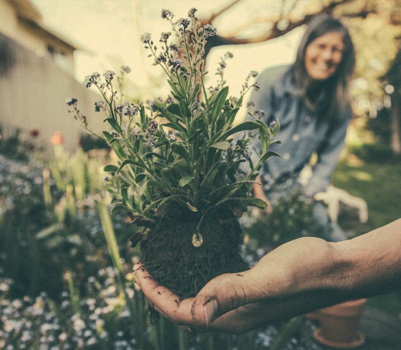 Gartenpflege in Geldern - ein ganzjährig schöner Garten mit Haag Galabau aus Geldern