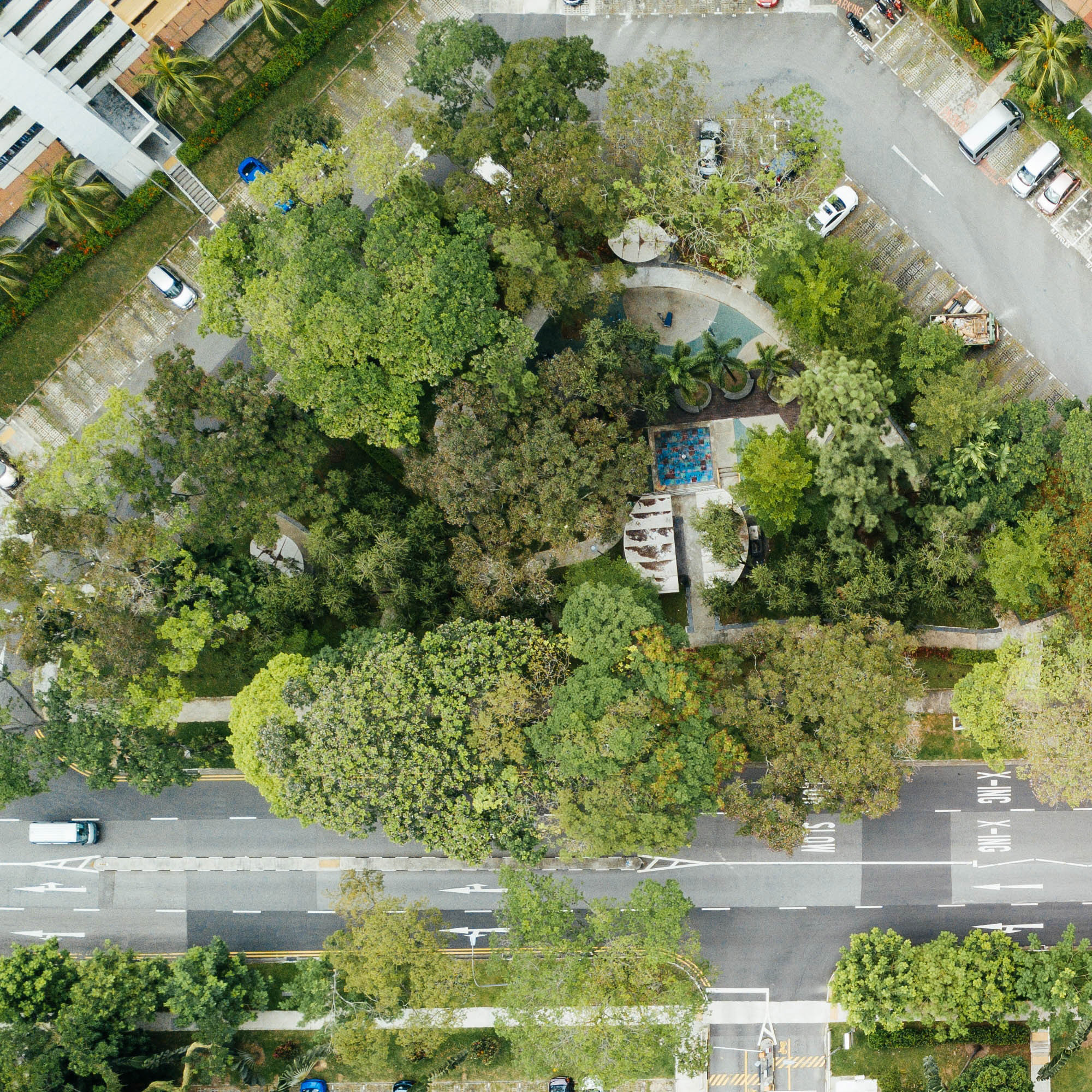 Haag Garten- und Landschaftsbau und Gartengestaltung in Geldern